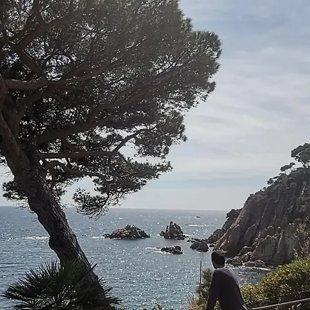 : Cosy 9 Min From The Blanes