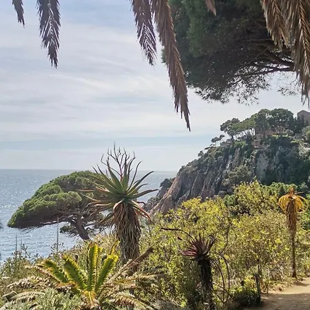 : Cosy 9 Min From The
