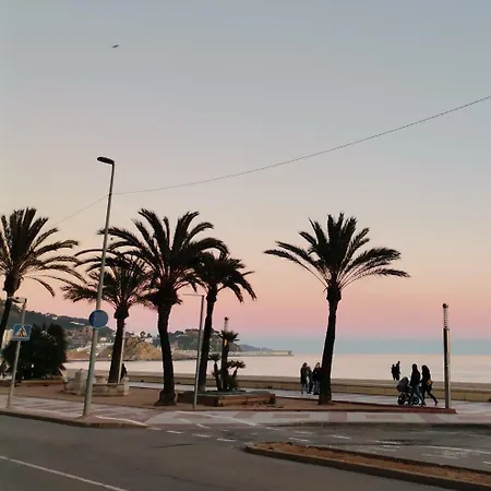 Appartement : Cosy 9 Min From The Blanes